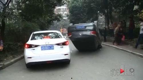 吃瓜群众车,一场全民参与的汽车盛宴  第2张