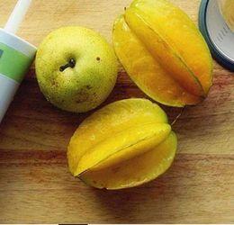 星星吃瓜沈以诚  第1张