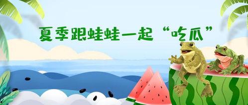 快穿嘎嘎吃瓜看戏小说,快穿女配的吃瓜日常