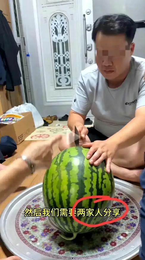 卖瓜吃瓜博主,卖瓜吃瓜，揭秘瓜农的真实生活