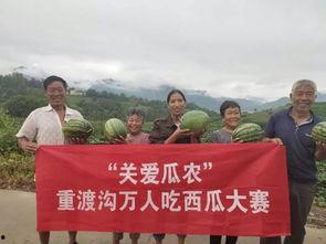 重渡沟吃瓜,清凉一夏，尽享田园风光  第2张