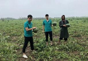 重渡沟吃瓜,清凉一夏，尽享田园风光  第3张