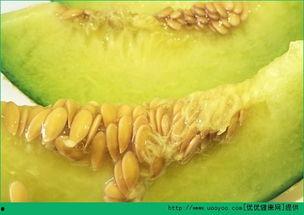 孩子咳嗽可以吃哈密瓜吗,孩子咳嗽时的天然食疗选择  第3张