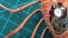 嘻嘻吃瓜动漫,动漫界的欢乐盛宴 第2张 嘻嘻吃瓜动漫,动漫界的欢乐盛宴 第2张