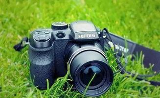 吃瓜小渔相机,揭秘美食背后的故事 第3张 吃瓜小渔相机,揭秘美食背后的故事 第3张