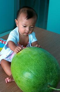 专辑吃瓜,揭秘音乐专辑吃瓜背后的故事与魅力