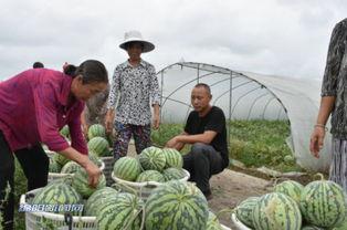吃瓜群众分百万 第3张 吃瓜群众分百万 第3张