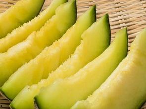 摄影吃瓜,摄影中的吃瓜瞬间 第2张 摄影吃瓜,摄影中的吃瓜瞬间 第2张