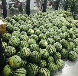 辽宁校园吃瓜事件,揭秘校园网络舆论风波