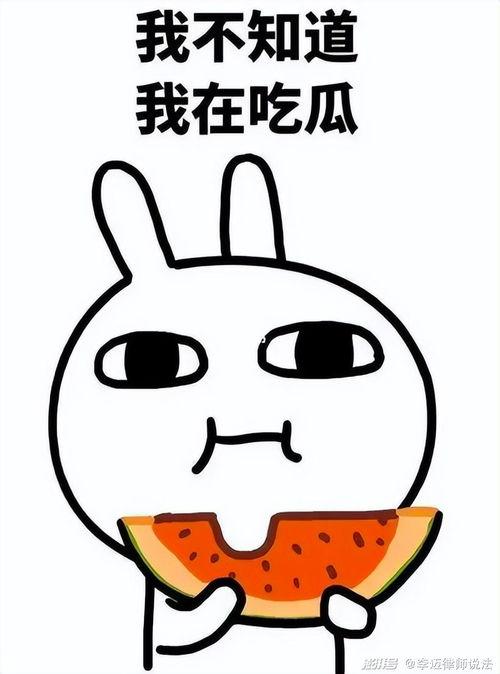 小红请你吃瓜全集,一场爆笑的美食冒险之旅  第1张