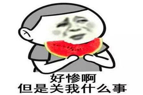 小红请你吃瓜全集,一场爆笑的美食冒险之旅  第3张