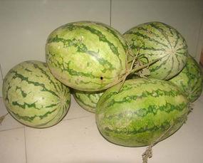 洛洛吃大瓜,揭秘娱乐圈幕后故事