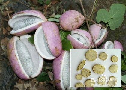 蜂蜜瓜八月瓜怎么吃,天然美味，多样食法探索