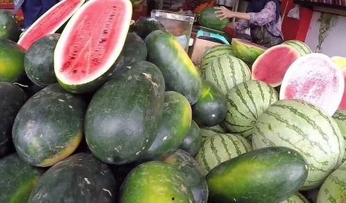 各国人吃中国瓜