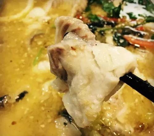 学猫叫吃瓜,揭秘网络热词背后的趣味与现象