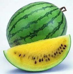 最富裕的加州吃瓜,揭秘硅谷精英的奢华生活