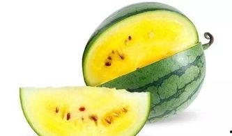 最富裕的加州吃瓜,揭秘硅谷精英的奢华生活