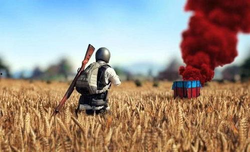 瓜仔让人机吃鸡,人机吃鸡新体验