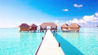 马尔代夫吃瓜,热带天堂里的“吃瓜”盛事