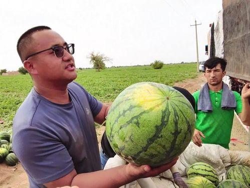 金昌吃瓜新闻最新视频,揭秘最新视频背后的惊人真相