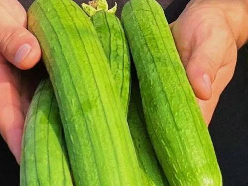 瓜了怎么吃,解锁夏日美味新境界