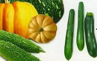 立秋吃六瓜是哪六瓜,品味六瓜养生之道  第2张