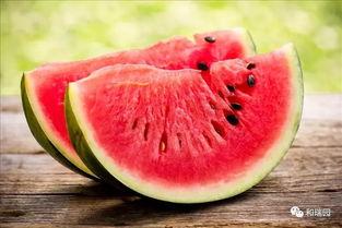 美味吃瓜,解锁夏日清凉新姿势
