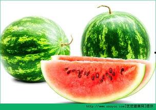 矮瓜胃炎可以吃吗,适宜与禁忌一览