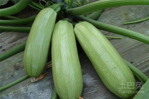 纯白和弦nga吃瓜,揭秘网络音乐圈的趣味故事