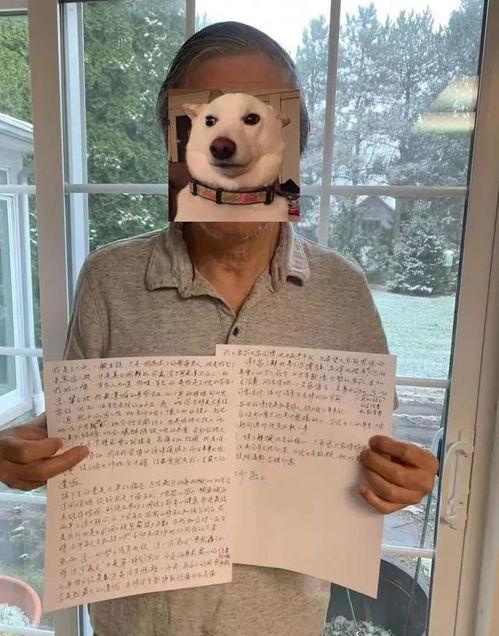 吃瓜听到睡不着,揭秘熬夜追瓜的失眠之谜