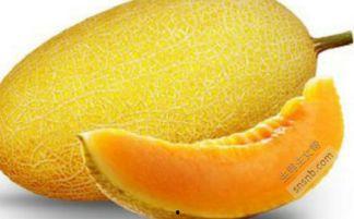 吃哈密瓜呕吐,揭秘吃哈密瓜呕吐之谜