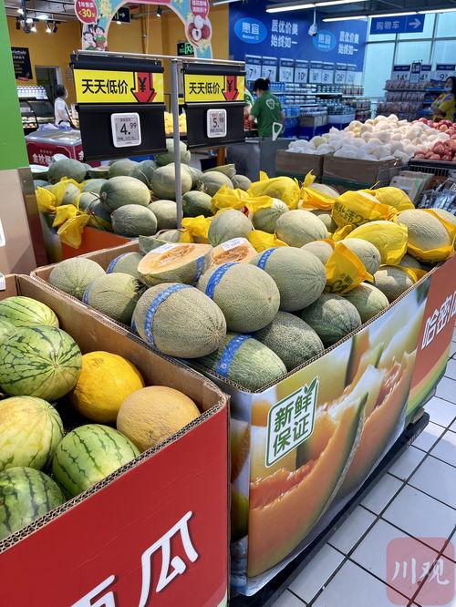 成都直播吃瓜,一场美食与娱乐的盛宴