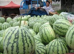 吃瓜群众在长沙,一瓜激起千层浪！