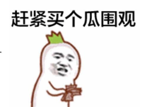 找不到吃瓜表情包了,吃瓜表情包难觅踪影