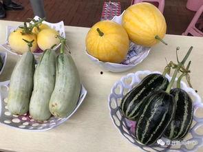 今日吃瓜茂名,揭秘热点事件背后的真相