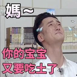 明星吃瓜表情包图片,揭秘娱乐圈幕后趣闻