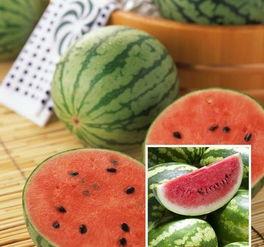 贵圈吃瓜最佳方法,吃瓜群众的最佳观战指南