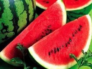 吃瓜前的准备,揭秘娱乐圈幕后真相与准备攻略